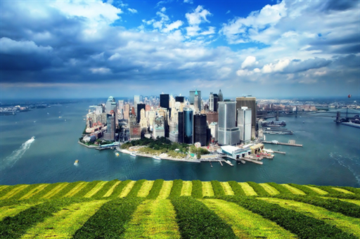 2024中国大陆显示器出口量超1亿台：美国成最大出口目的地